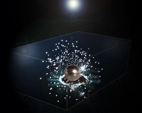 华体会登陆-俱乐部追逐商业价值:打造全球品牌的成功案例,高端俱乐部商业模式