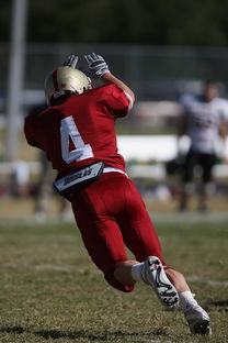 华体会体育在线-中超球队年度替补球员战术执行效率统计，中超替补年薪