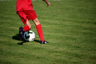 华体会体育入口-篮球运动员心理健康维护体系建设,篮球运动员心理素质的重要性